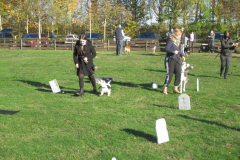 Halloween2020IMG_1951