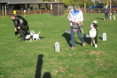 Halloween2020IMG_1953