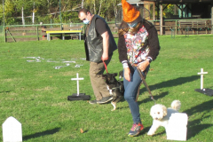 Halloween2020IMG_1955