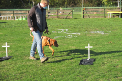 Halloween2020IMG_1957