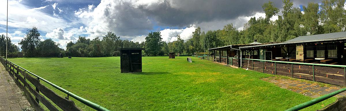 Hundesportverein DVG-Neuss Rheinallee e.V.