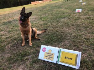 DVG Neuss Rally Obedience