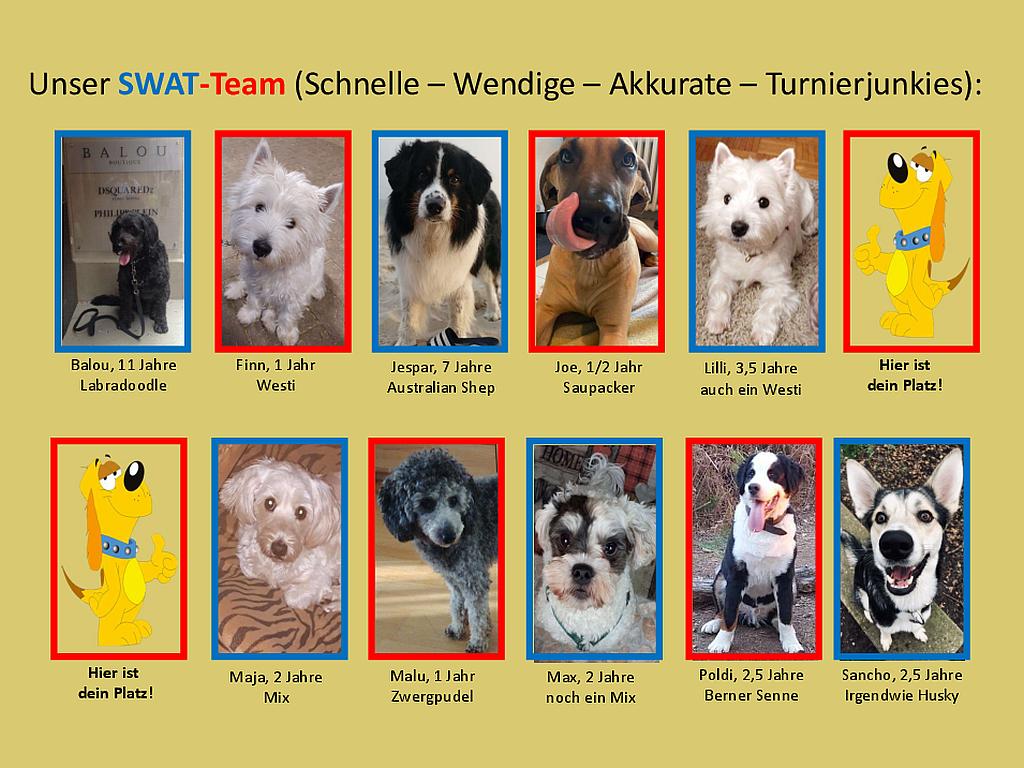 Unser SWAT Team
